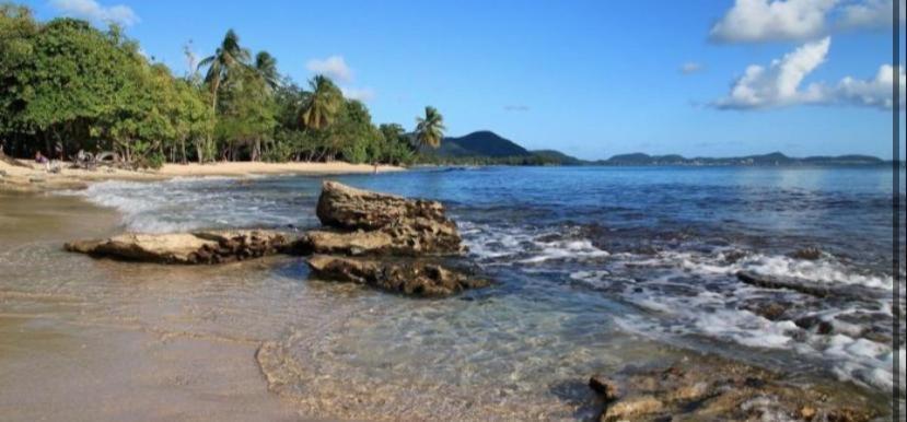 Location Vacances Fun Sous Les Gommiers Sainte-Luce Luaran gambar